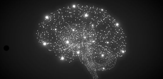 Hormonas y neurotransmisores