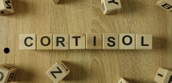 Cortisol: la hormona que nos ayuda a sobrevivir... hasta que permanece demasiado tiempo